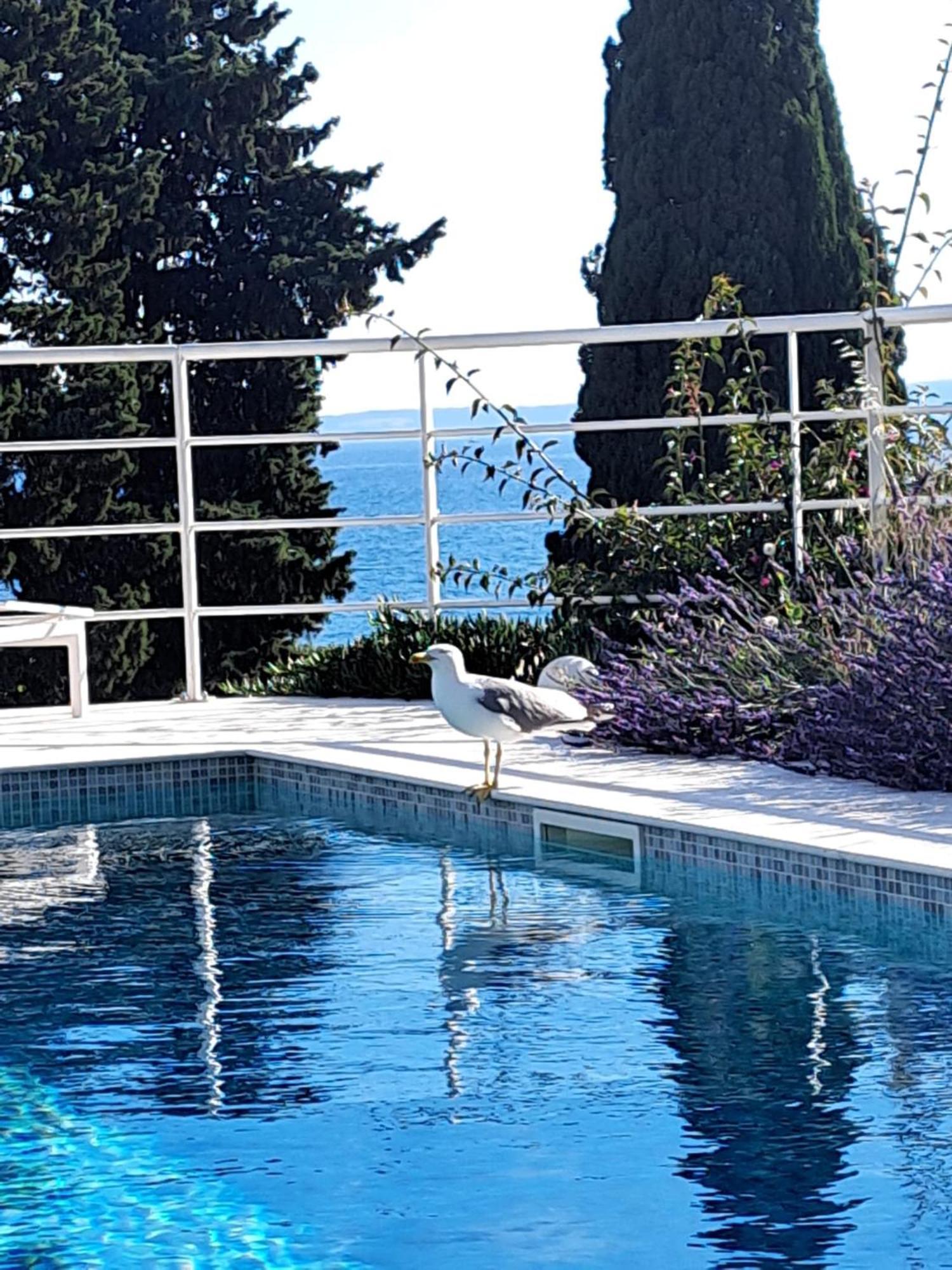 Apartment With Private Pool Split Eksteriør bilde